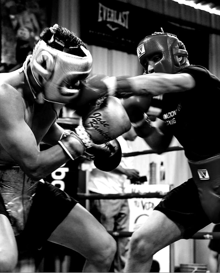 Sparring Gloves